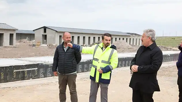 Melikgazi'de hayvan bakım evi projesi hızla ilerliyor
