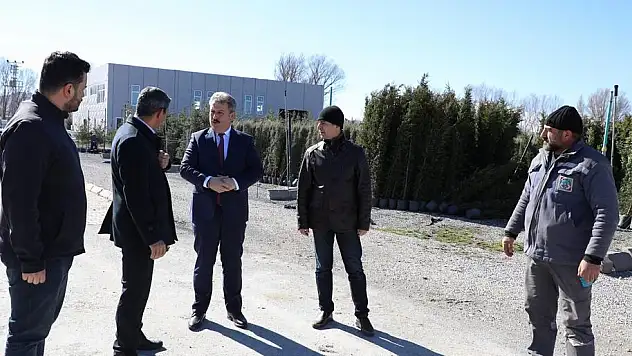 MELİKGAZİ İÇİN TIRLARLA AĞAÇLAR GELİYOR