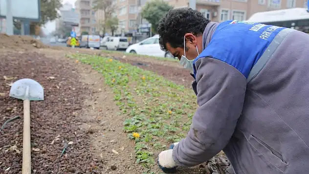 MELİKGAZİ'NİN KAVŞAKLARI KIŞIN DA ÇİÇEK AÇTI