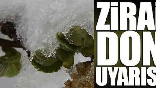 Meteorolojiden 'Zirai Don' uyarısı