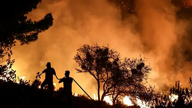 Orman yangınlarında hayatını kaybeden gönüllüler 'şehit' sayılacak