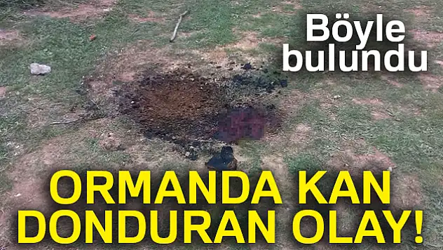 Ormanda dehşet! Böyle bulundu..