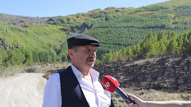 ORTASEKİ ORMANLARI'NA YOL, SU VE GÜVENLİK TALEP EDİLİYOR