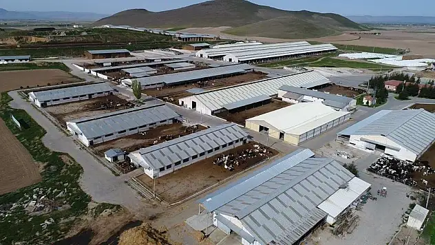 ÖTEGEN: 'YERLİ SERMAYEYLE KURULAN SARAY HALI ESKİ GÜNLERE DÖNMELİ'