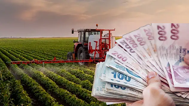 Patates, soğan ve yem bitkileri üretiminde yeni destekler açıklandı