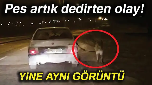 Pes artık dedirten görüntü!
