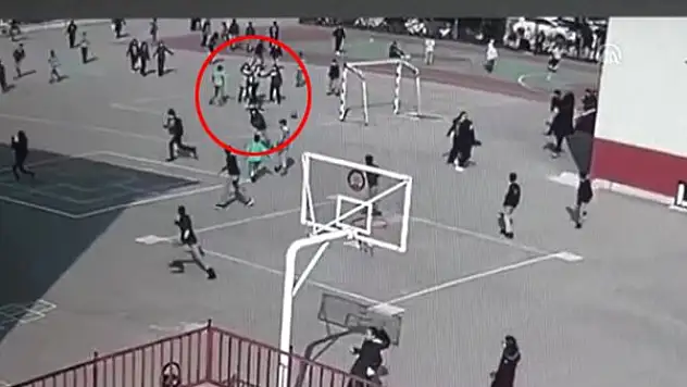 Pitbull Dehşetinin Bu Sefer ki Adresi Çorum!