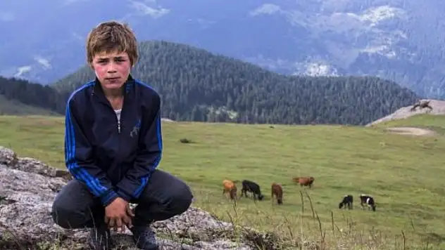 PKK'lı Teröristlerin Eren Bülbül'ün Evinden Çaldığı Eşyalar, Sığınakta Bulundu