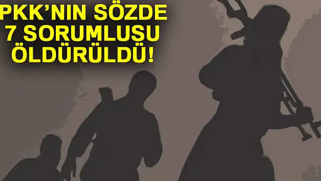 PKK'nın sözde 7 sorumlusu öldürüldü
