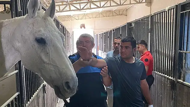 POLİS EKİPLERİ, ÖZEL ÇOCUKLARI MUTLU ETTİ