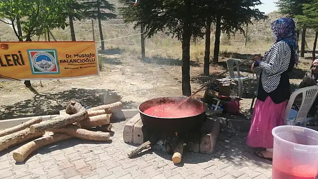SALÇA GÜNLERİ BELSİN'DE DEVAM EDİYOR
