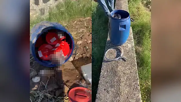 Şanlıurfa'da plastik kutularda 21 cenin bulundu