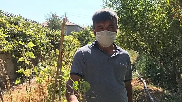 SARIMSAKLI'DA SULAK KESİLDİ, TARLADAKİ MAHSULLER KURUDU