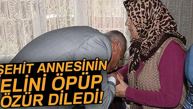 Şehit annesi: 'Hakaretlerde bulunmasını da tutuklanmasını da istemezdim'