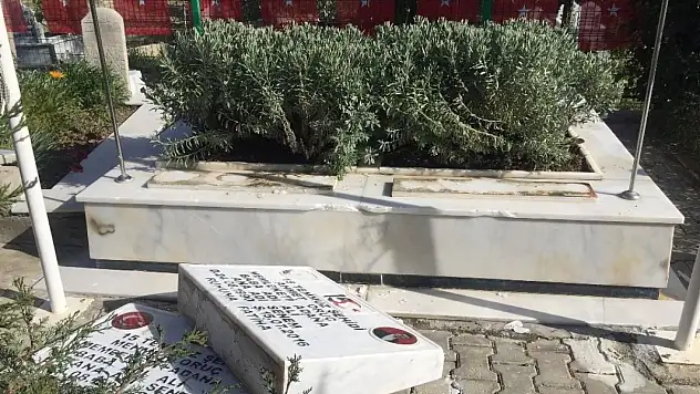 ŞEHİT MEZARLARINA ZARAR VEREN DEAŞ'LILAR TUTUKLANDI