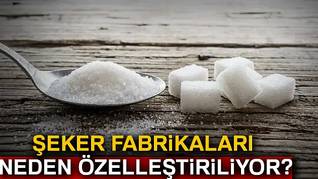 Şeker fabrikaları neden özelleştiriliyor?