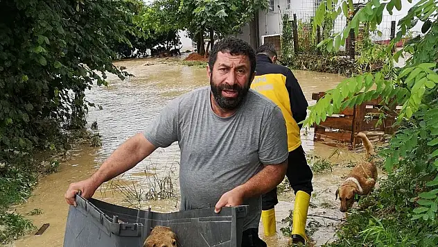 SELDE SOKAK HAYVANLARI BOĞULMAKTAN BÖYLE KURTARILDI