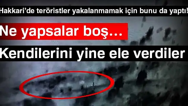 Şemsiyeli teröristler İHA'ya böyle yakalandı