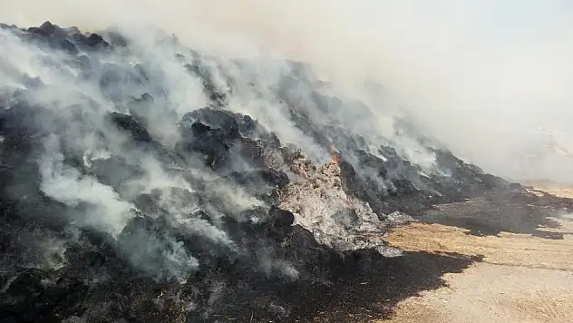 Sigara izmariti 3 bin balya samanı kül etti