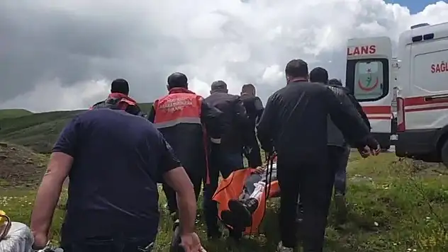 Sivas'ta mantar toplarken ayı saldırısına uğradı