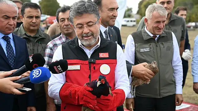 Son 10 yılda 1 milyonun üzerinde keklik ve sülün doğayla buluştu