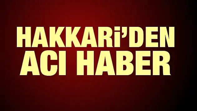 Son Dakika! Hakkari'de Hain Saldırı: 1 Şehit