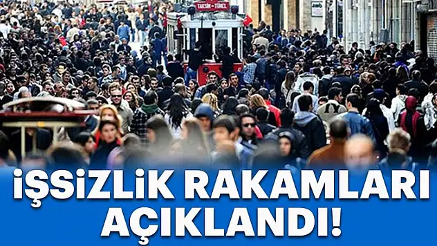 Son Dakika! İşsizlik Rakamları Açıklandı
