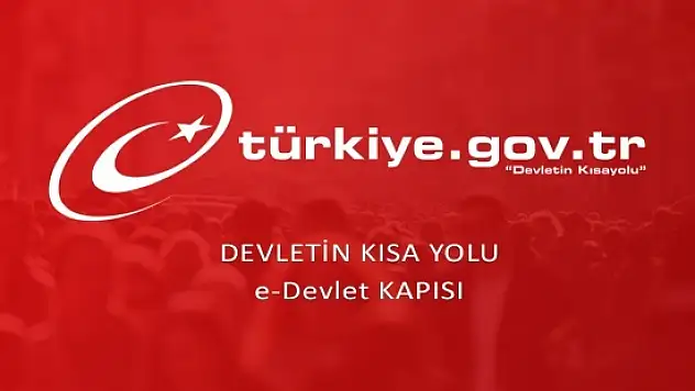 Soyağacına günlük kota! 310 binden fazla kişi soyunu öğrendi