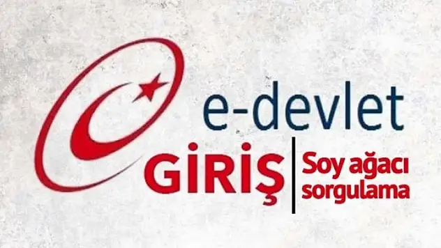 Soyağacınızı daha geri tarihlere götürmeniz mümkün