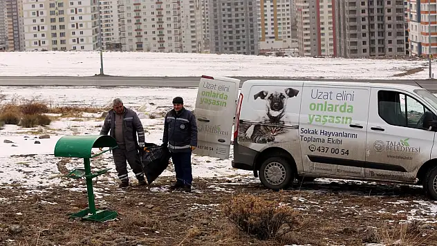 Talas Belediyesi yaban ve sokak hayvanlarını unutmadı