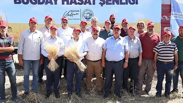 TALAS'TA BELEDİYE DESTEĞİYLE EKİLEN SİYEZ BUĞDAYI HASADI BAŞLADI