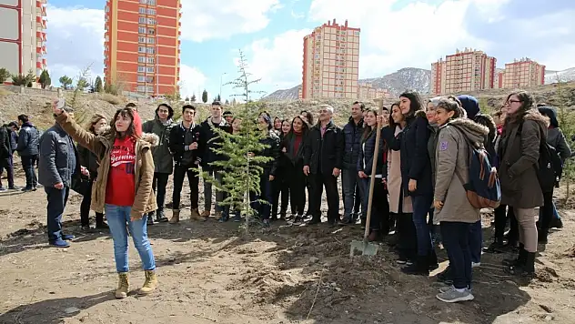 Tınaztepe Mahallesi yeşile bürünüyor