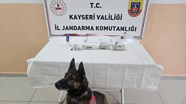 Tomarza'da uyuşturucu operasyonu: 12 şüpheli tutuklandı