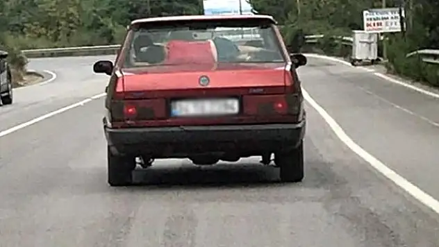 TRAFİKTE BİR GARİP OLAY,GÖRENLER HAYRETLE İZLEDİ
