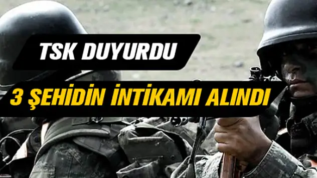 TSK açıkladı! 3 şehidimizin intikamı alındı