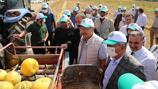 TÜRKİYE'DE BİR İLK! KAYSERİ ŞEKER GELİŞTİRDİ: KAYARGE VE KEYKUBAT YÜZ GÜLDÜRDÜ