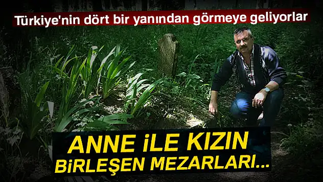 Türkiye'nin dört bir yanından bu mezarlığı görmeye geliyorlar