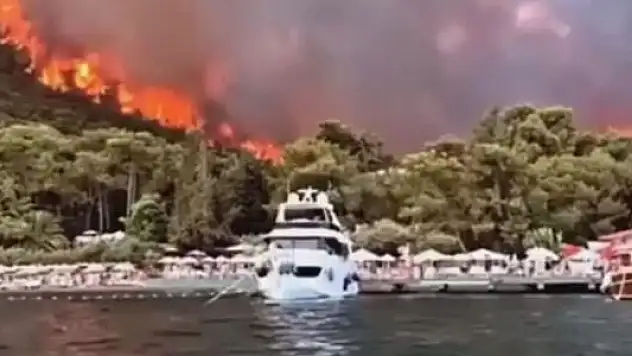 TÜRKİYE'NİN GÜNEYİ YANIYOR! BODRUM VE DİDİM'DE DE YANGIN ÇIKTI