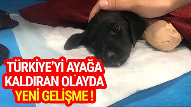 TÜRKİYE'Yİ AYAĞA KALDIRAN OLAYIN SORUMLUSU TUTUKLANDI