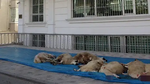 ÜLKÜ OCAKLARI'NDAN HAREKATA DESTEK!