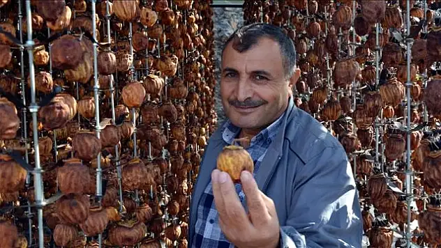 UYANIK AMASYALI! KURUTUP 1 LİRA YERİNE 23 LİRADAN SATIYOR