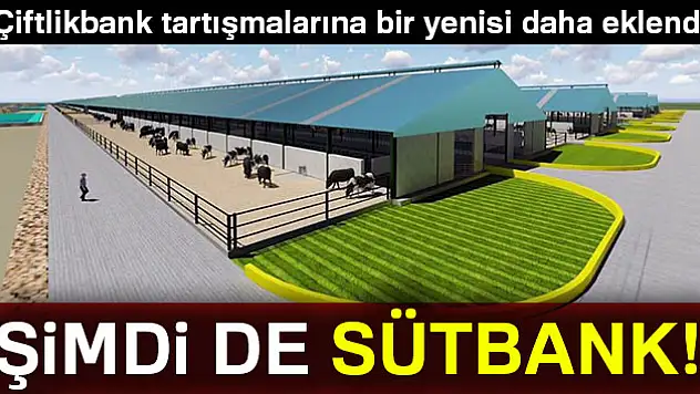 Üyelerden 120 milyon toplayan Sütbank'ta yönetim değişti
