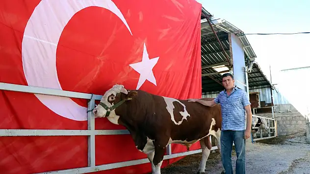 Üzerinde doğuştan ay ve yıldız olan 'Cesur' ilgi odağı oldu