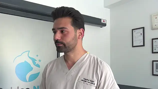 Veteriner Cingil'den kene uyarısı! Evcil hayvan sahipleri dikkat
