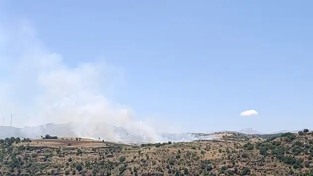 Yahyalı'da orman yangını