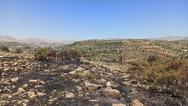 Yahyalı'daki yangın söndürüldü