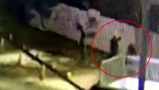 YAŞLI ADAMI SOKAK ORTASINDA BAŞINI TAŞLA EZEREK ÖLDÜRDÜ!