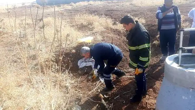 YAVRU KÖPEKLERİ ÇUVALA KOYUP, LAĞIM ÇUKURUNA ATTILAR