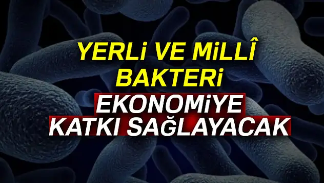 Yerli ve millî bakteri ekonomiye katkı sağlayacak