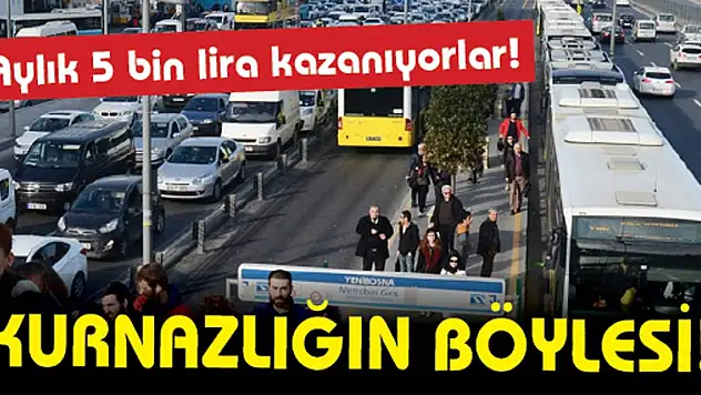 Yok böyle kurnazlık! Aylık 5 bin lira kazandırıyor